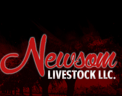 Newsom Livestock
